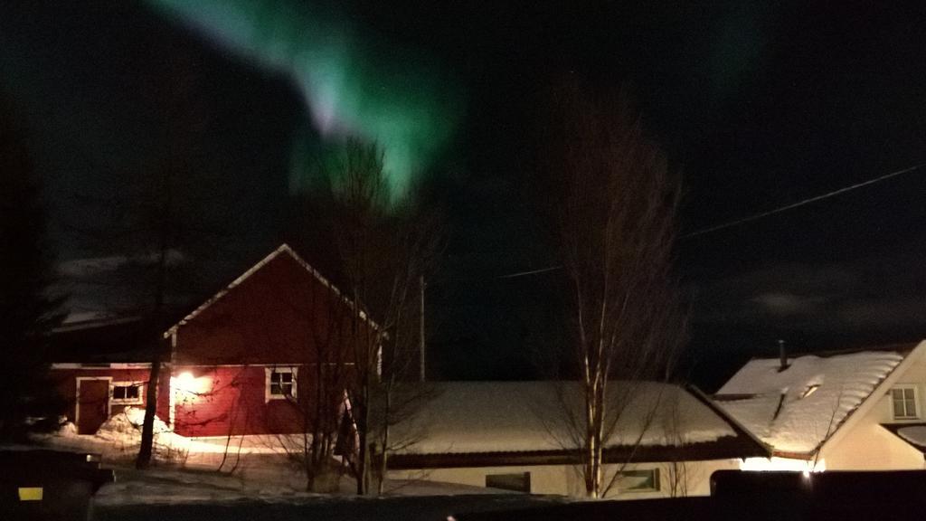 Bustad Larseng Bagian luar foto