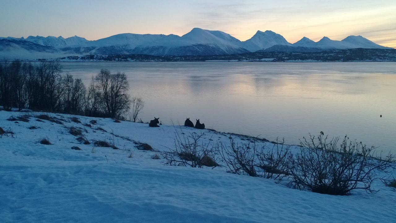 Bustad Larseng Bagian luar foto